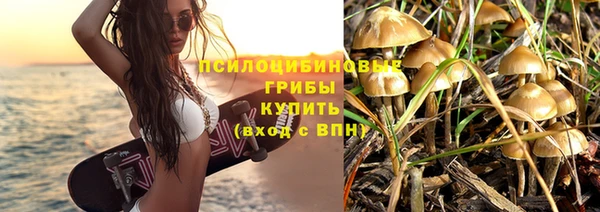 прущая мука Алзамай