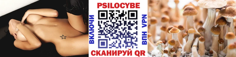 сколько стоит Йошкар-Ола Галлюциногенные грибы MAGIC MUSHROOMS